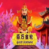 全球化支持